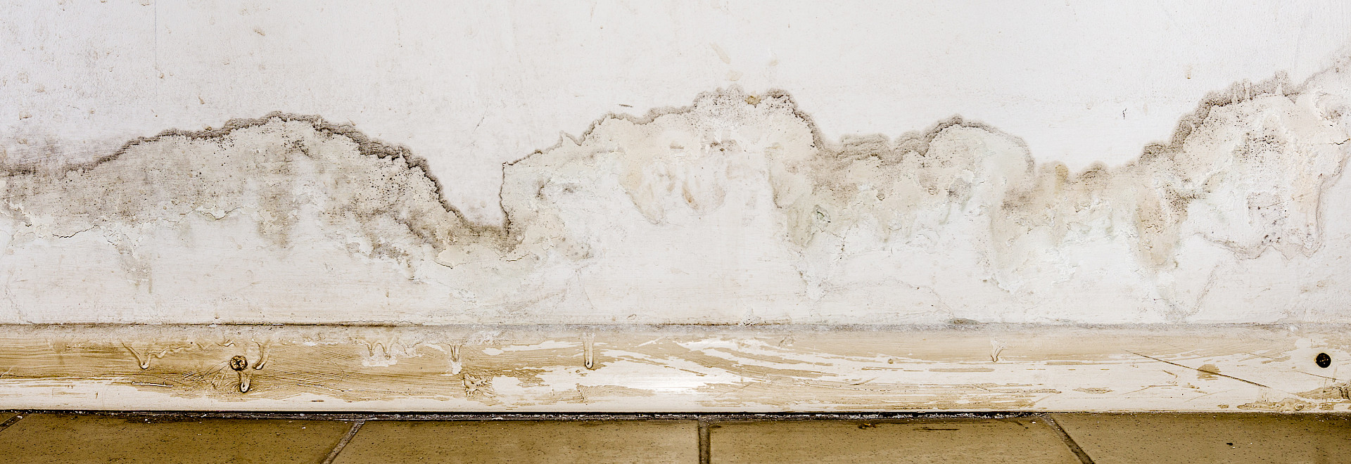 Eine feuchte Wand im Keller mit sichtbarem Wasserschaden und Schimmel vor der Behebung durch MaNos Abdichtungstechnik in Hamburg