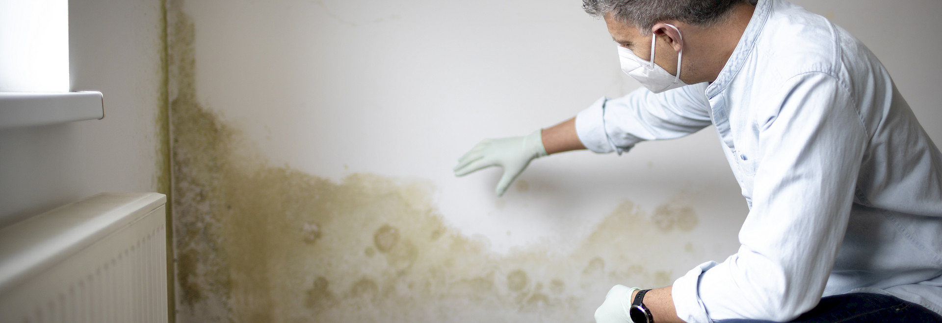Bekämpfung von Schimmel an einer Wand von unseren Experten bei MaNos Abdichtungstechnik in Hamburg