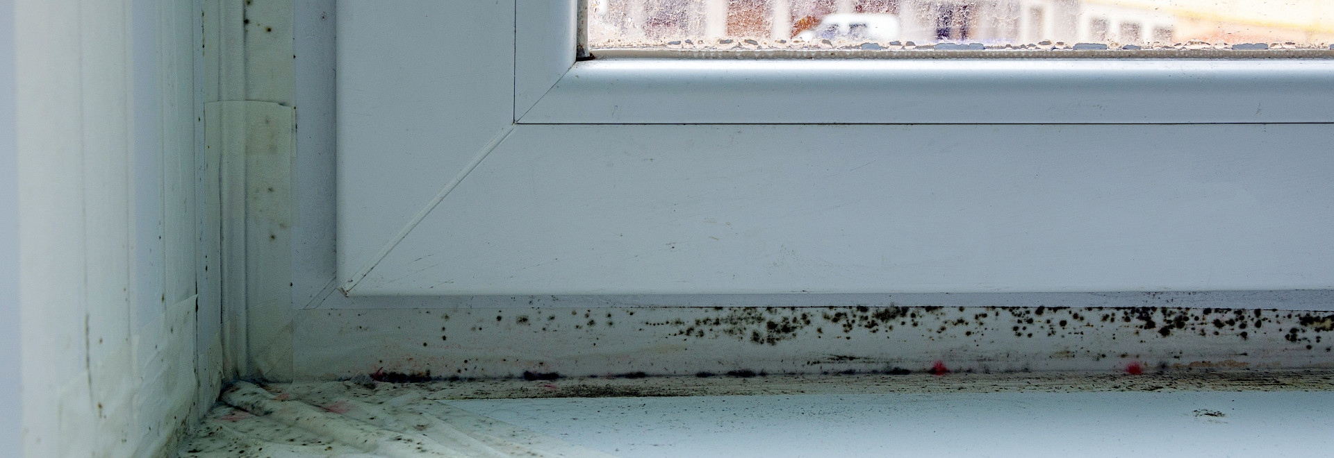 Mit Schimmel befallenes Fenster in einer Wohnung in Hamburg