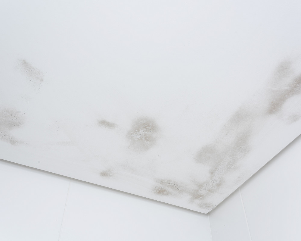 Wohnraum mit Schimmelbildung durch kapillare Wasseraufnahme